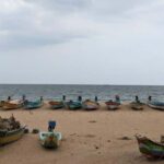 Private 4-Day Tamil Nadu Arts & Divine Tour from Chennai - Practical Details and Value