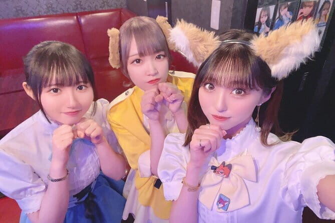 Private Akihabara Retro Tokyo Anime Game Maid Cafe Tour w/ pickup - Exploring Akihabara: A Deep Dive into the Retro and Otaku Scene