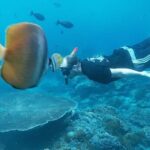 Private All Inclusive Nusa Penida Snorkeling and Tour - The Value Proposition
