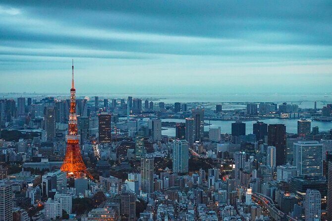 Private and Customisable Tokyo Tour with English Driver-guide - Who Should Consider This Tour?