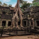 Private Angkor Wat Day Tour with Pre Rup Temple Sunset - Who Will Love This Tour?