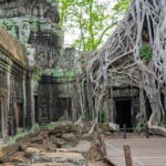 Private Angkor Wat Sunrise Guide Tour include Breakfast and Snack - What’s Included and What to Keep in Mind