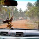 Private Angkor Wat Tour from Siem Reap - How This Tour Compares to Others