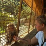 Private Arashiyama Tenryuji Temple Bamboo Grove and Monkeys Tour - Final Thoughts: Is This Tour Worth It?