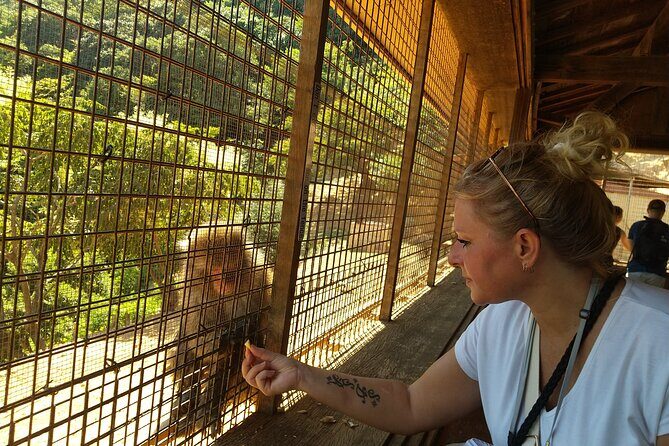 Private Arashiyama Tenryuji Temple Bamboo Grove and Monkeys Tour - Final Thoughts: Is This Tour Worth It?
