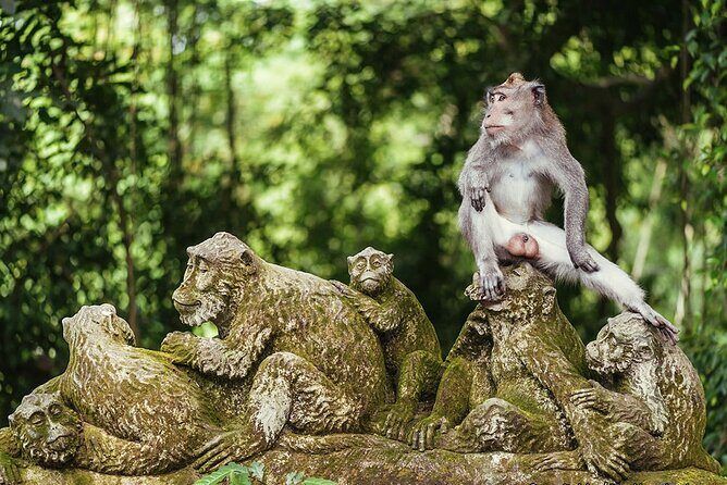 Private Arrival Transfer: Bali Airport to Hotel with Minibus Toyota HiAce up to 12 Pax - A Practical, Well-Organized Arrival Experience