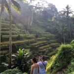 Private Bali Custom Tour  Full Day with English-Speaking Driver - A Deep Dive into the Bali Private Tour: What to Expect and Why It Matters