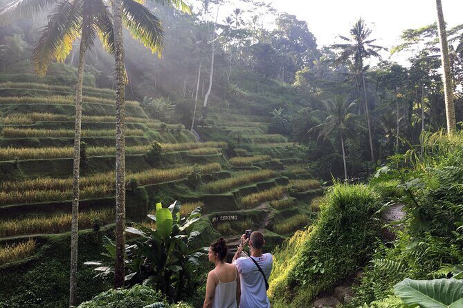 Private Bali Custom Tour Full Day with English-Speaking Driver - A Deep Dive into the Bali Private Tour: What to Expect and Why It Matters