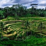 Private Bali swing, waterfall instagramable tour - In-depth review of the Bali swing, waterfall, and rice terraces tour