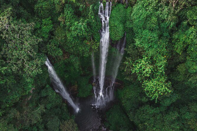 Private Bali's North Sacred Sites and Idyllic Nature Exploration - Practical Aspects: What to Expect