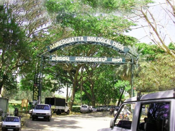 Private Bannerghatta National Park Day Excursion - Who Should Consider This Tour?