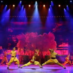 Private Beijing Evening Tour: Roast Duck & Kungfu Show - Is This Tour Worth It?