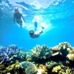 Private Blue Lagoon Snorkeling Lunch All Inclusive - Frequently Asked Questions