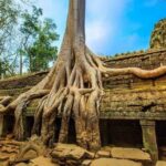 Private Cambodia 5 Days Tour from Siem Reap to Phnom Penh - Why This Tour Offers Real Value