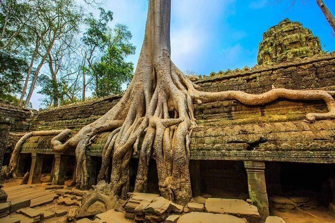 Private Cambodia 5 Days Tour from Siem Reap to Phnom Penh - Why This Tour Offers Real Value
