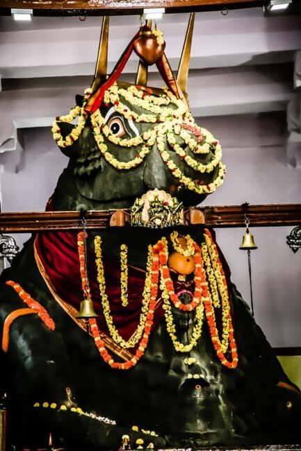 Private car and driver Bangalore Excursion to Bannerghatta - FAQs