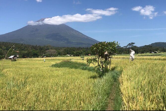 Private Car Charter in Bali with an English speaking Driver - Authentic Experiences and Practical Tips