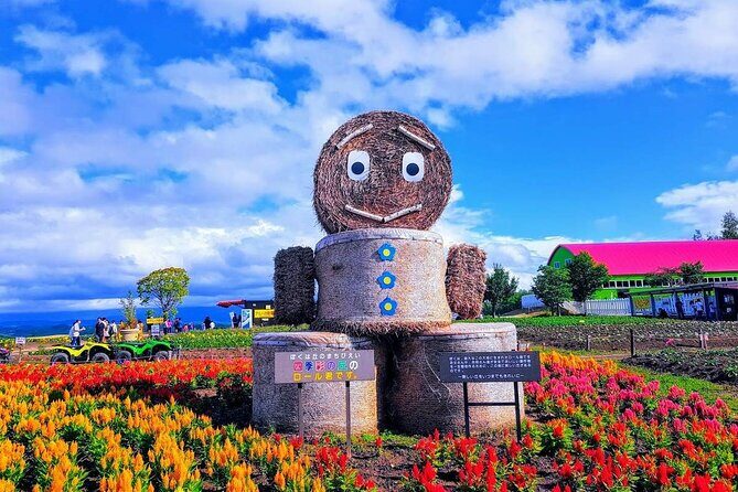 Private Car Tour to Biei Furano and Blue Pond from Sapporo - Who Should Consider This Tour?