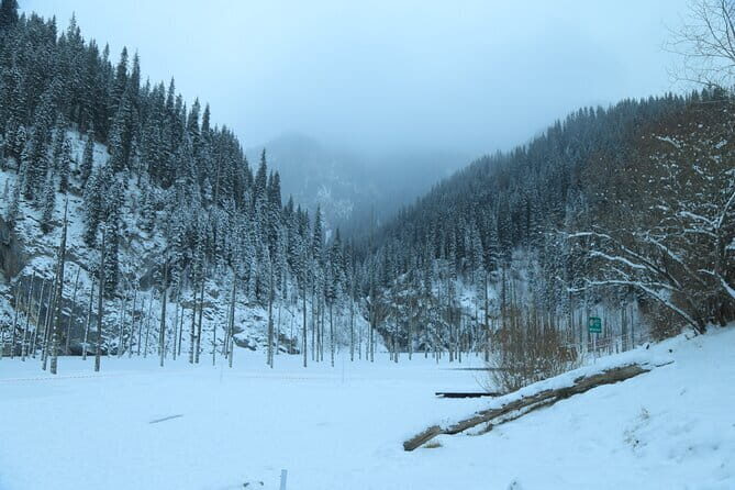 Private Charyn Canyon, Kolsai Lake with Optional Kaindy Lake tour - FAQs