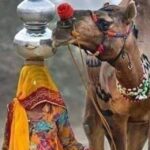 Private City Tour Of Jaipur From Delhi By Car - Final Thoughts on Value and Suitability