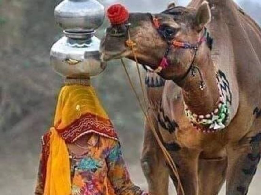 Private City Tour Of Jaipur From Delhi By Car - Final Thoughts on Value and Suitability