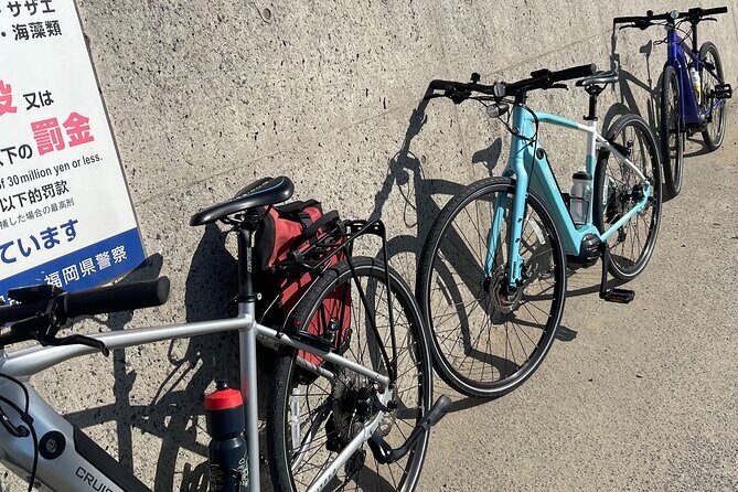 Private Coastline Ebike Tour in Fukuoka - The Overall Experience: Who’s It For?