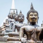 Private Custom Colombo City Tour - Transportation and Guide Service: Why It Matters