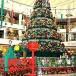 Private Custom Shopping Tour: Delhi's Bustling Markets - FAQ