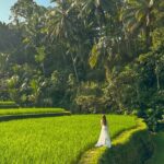 Private Customize Ubud Day Tour With Experienced Driver - The Practical Side: Value, Comfort, and Flexibility