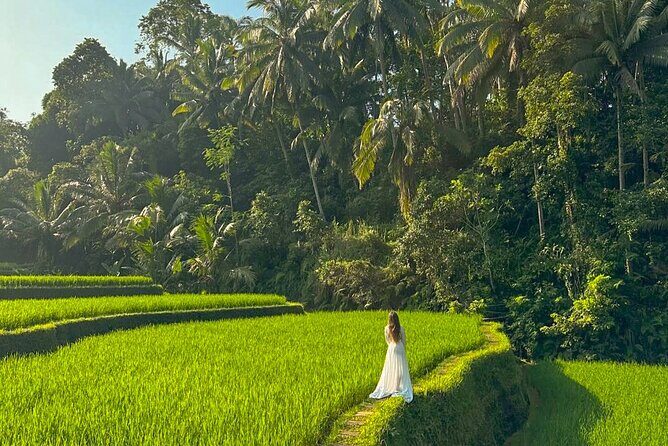 Private Customize Ubud Day Tour With Experienced Driver - The Practical Side: Value, Comfort, and Flexibility