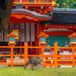 Private Customized 3 Full Days Tour Package: Discover Kyoto, Arashiyama and Nara - Who Is This Tour Best For?