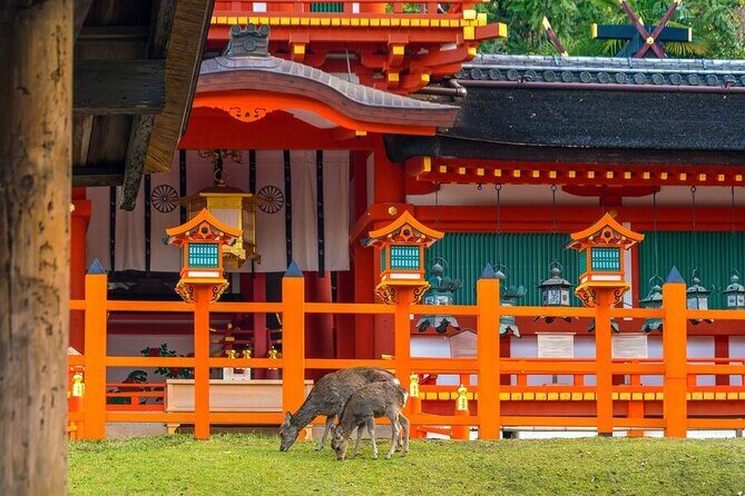 Private Customized 3 Full Days Tour Package: Discover Kyoto, Arashiyama and Nara - Who Is This Tour Best For?