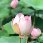 Private Customized Macau Day Tour from Hong Kong - Who Should Consider This Tour?