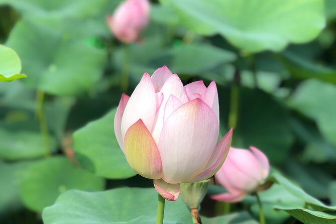 Private Customized Macau Day Tour from Hong Kong - Who Should Consider This Tour?