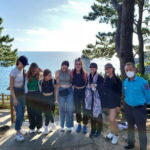 Private Day South and West Tour For Cruise Customers in Jeju - Why This Tour Works for You