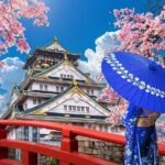 Private Day Tour in Osaka and Kyoto with charter car - The Real Value: What You Get