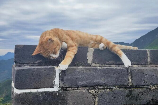 Private Day Tour to Mutianyu Great Wall with English Driver - Authenticity and Value: What Travelers Say