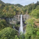 Private Day tour to Nikko City with English speaking driver - Who Will Love This Tour?