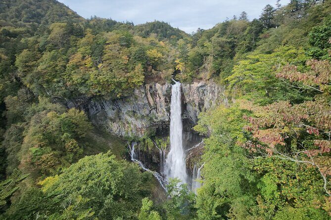 Private Day tour to Nikko City with English speaking driver - Who Will Love This Tour?
