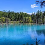 Private Day Trip to Asahiyama Zoo and Biei Blue Pond - Assessing the Value and Suitability