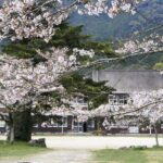 Private Day Trip to Kumamoto & Asakura from Fukuoka with Minibus - Who Should Consider This Tour?