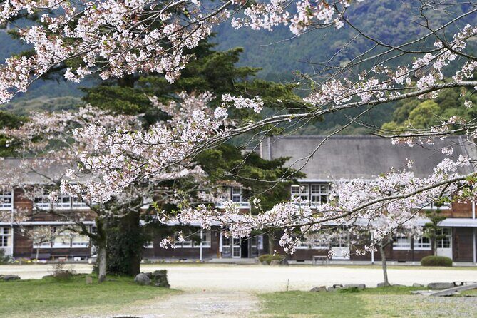 Private Day Trip to Kumamoto & Asakura from Fukuoka with Minibus - Who Should Consider This Tour?