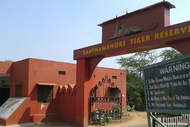 Private Day Trip to Ranthambore Tiger Reserve from Jaipur - A Deep Dive into the Ranthambore Experience