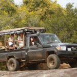 Private Day-Trip to Yala National Park Including BBQ Dinner on the Beach - Detailed Itinerary Breakdown