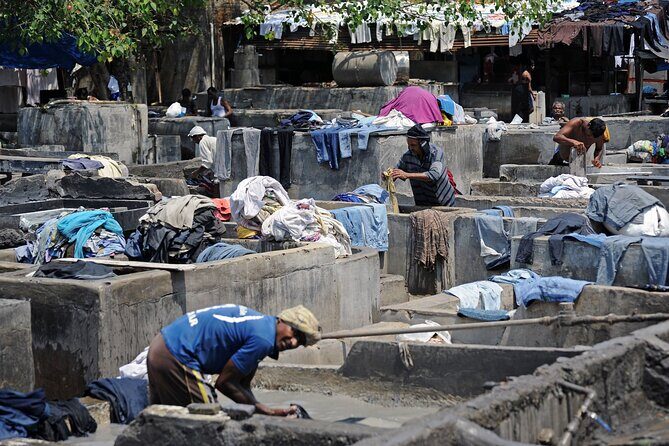 Private Dharavi Slum, Dabbawala & Dhobi Ghat tour with Transport - Authentic Stories and Real-World Insights