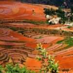 Private Dongchuan Red Land Sightseeing Day Tour from Kunming - The Experience: Authenticity Meets Comfort