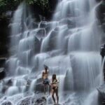 Private driver and tours - Exploring Bali with a Trusted Guide