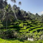 Private Driver in Bali with English Speaking - Why This Tour Offers Excellent Value