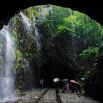 Private Dudhsagar waterfalls & Spice Plantation with Lunch from Mormugao Port - Analyzing the Cost and Value