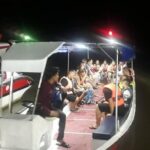 Private: Firefly tour from Kuala Lumpur - A Deep Dive Into the Kuala Selangor Firefly Tour